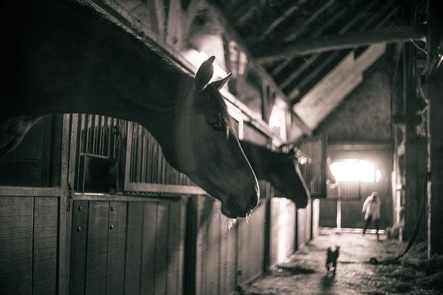 Streifenvorhänge eignenen sich auch ideal für Ihren Pferdestall